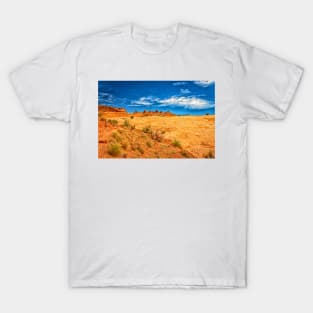 Arches National Park, Moab Utah T-Shirt